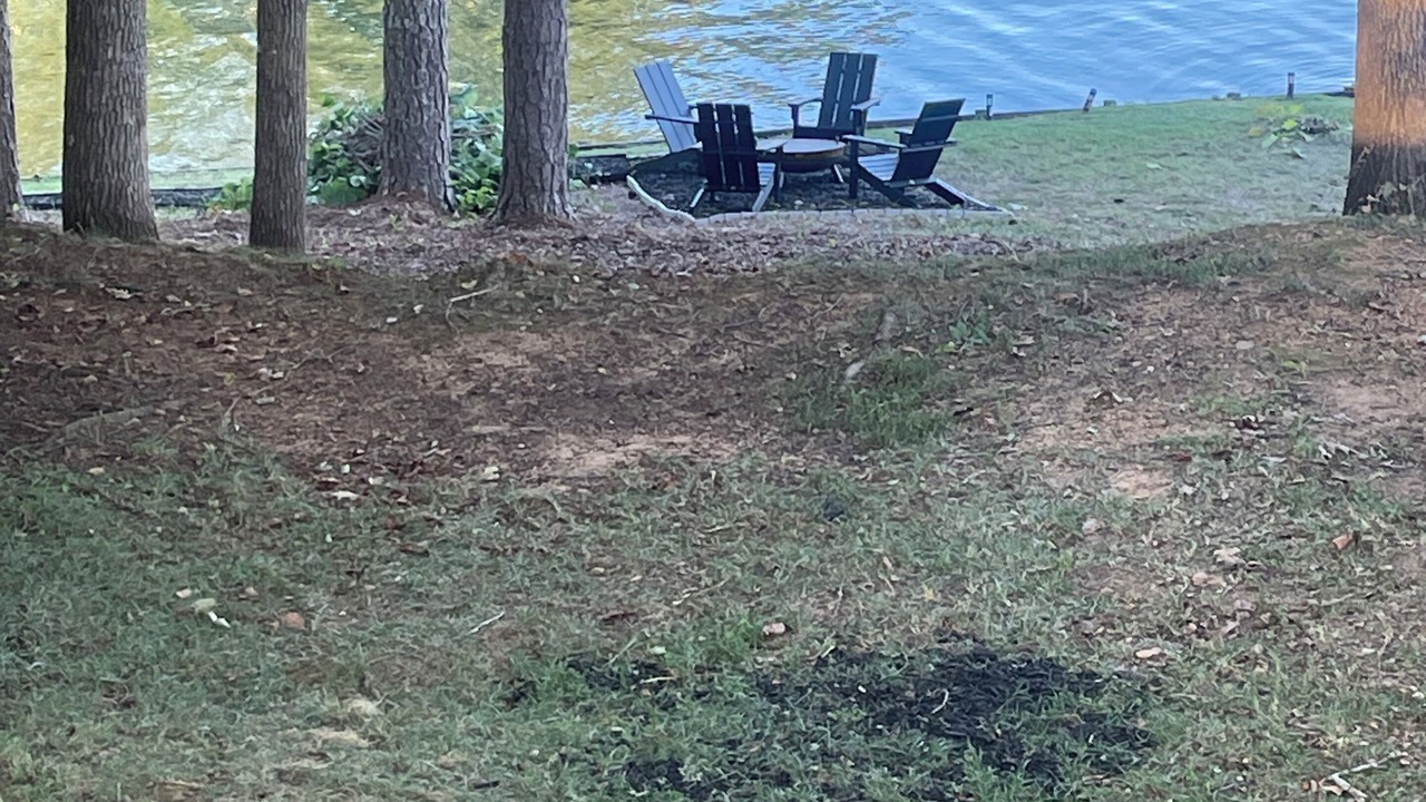 Photo of Outdoor in Leesburg