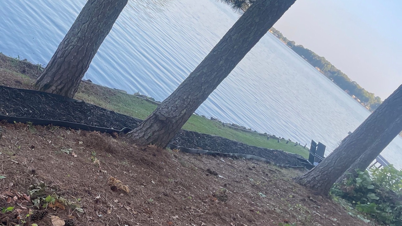 Photo of Others in Leesburg