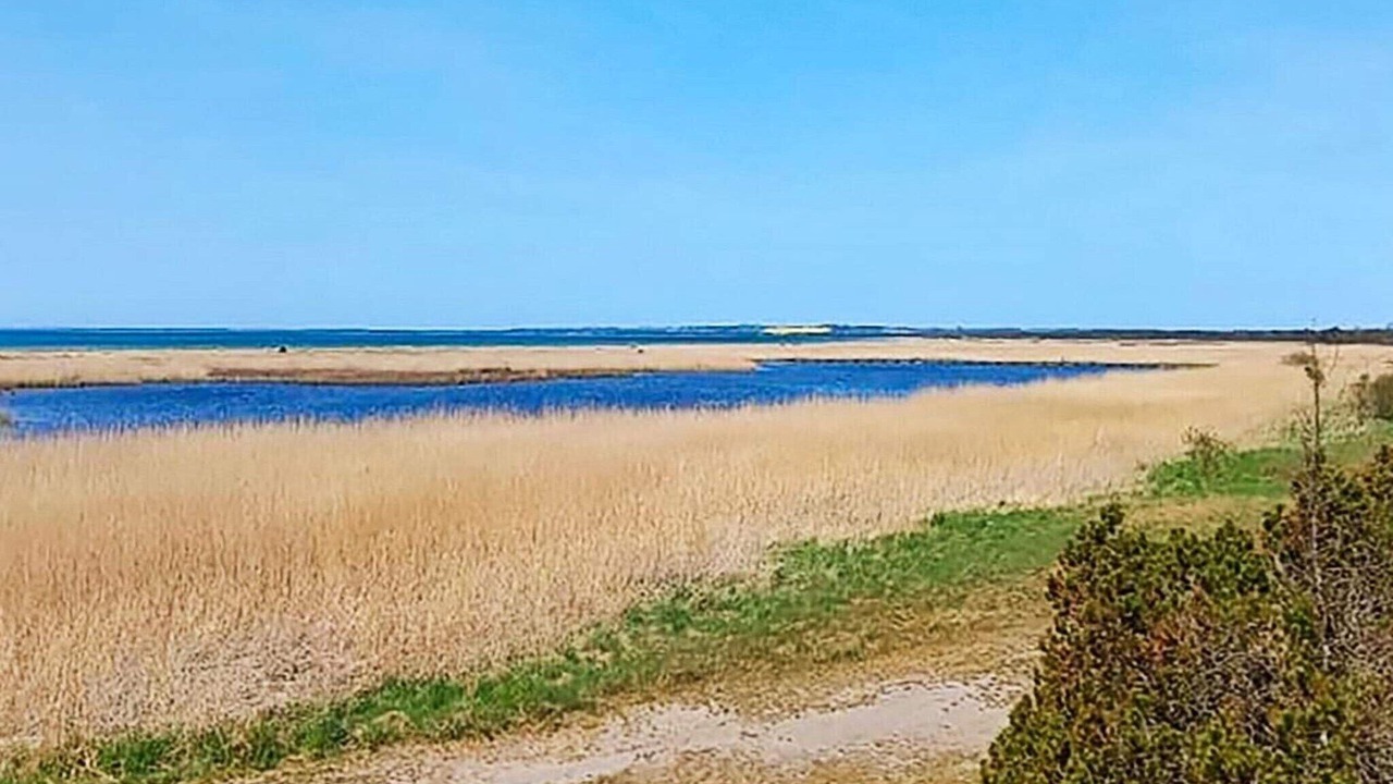 Photo of Outdoor in Hoeve Strand