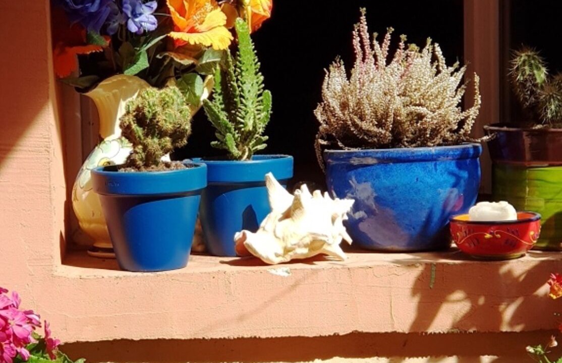 Photo of Outdoor in Quartier Administrations