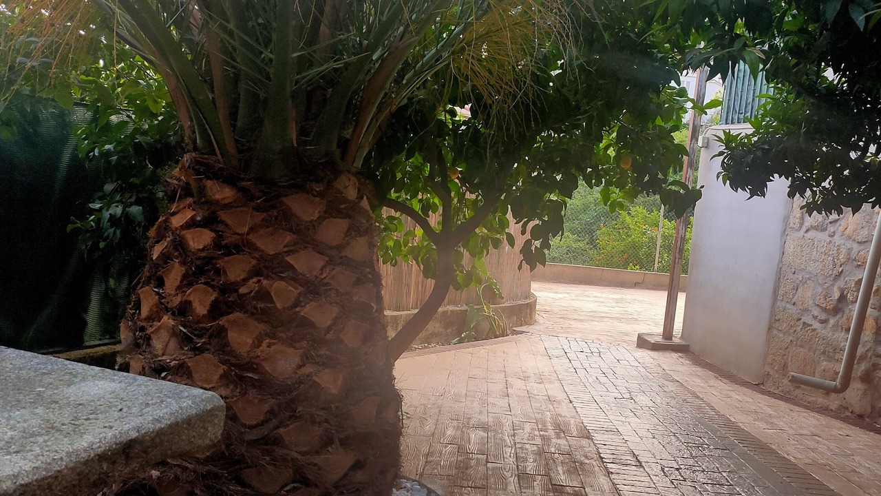 Photo of Outdoor in Villarejo del Valle