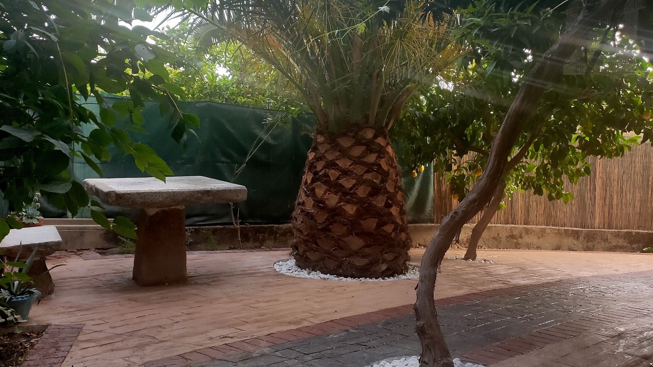 Photo of Patio Balcony in Villarejo del Valle