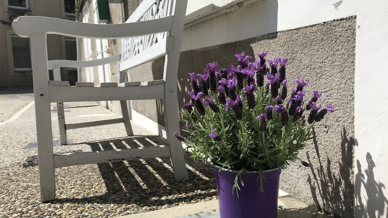 Photo of Others in Montemboeuf