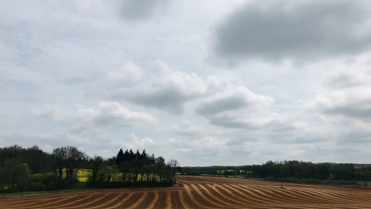 Photo of Others in Montemboeuf