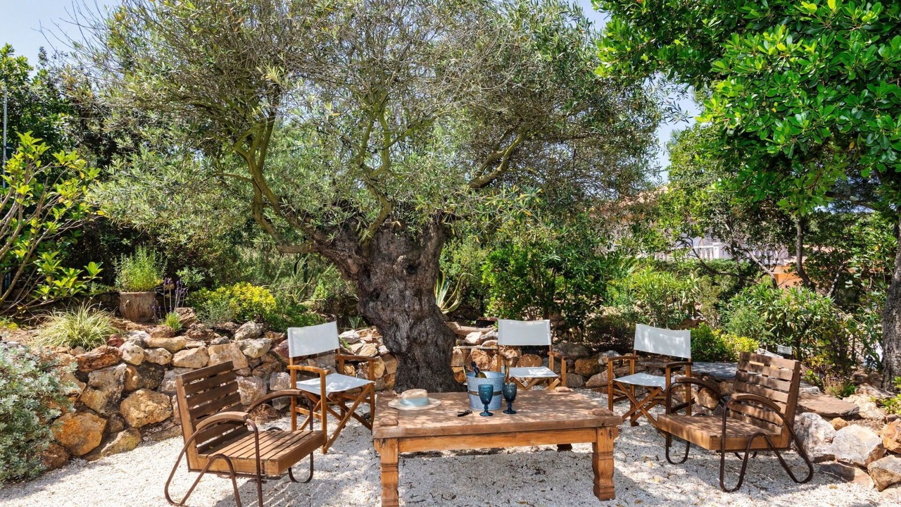 Photo of Outdoor in Pals