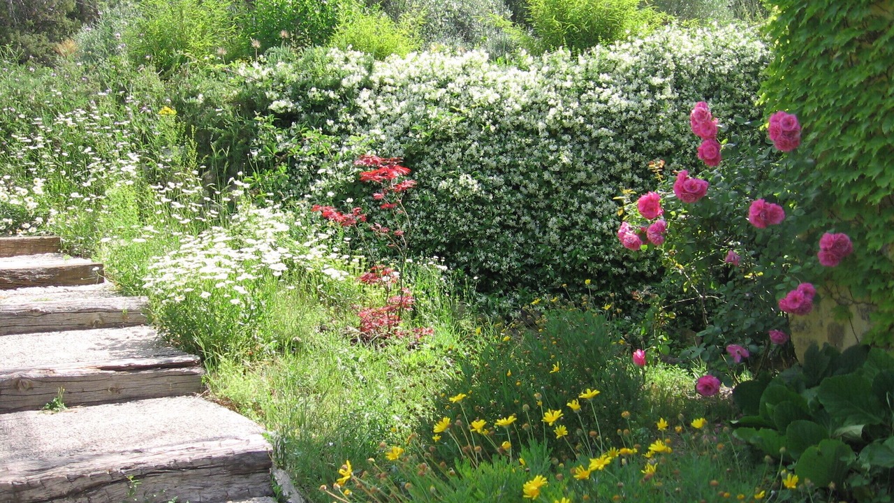 Photo of Outdoor in Fayence