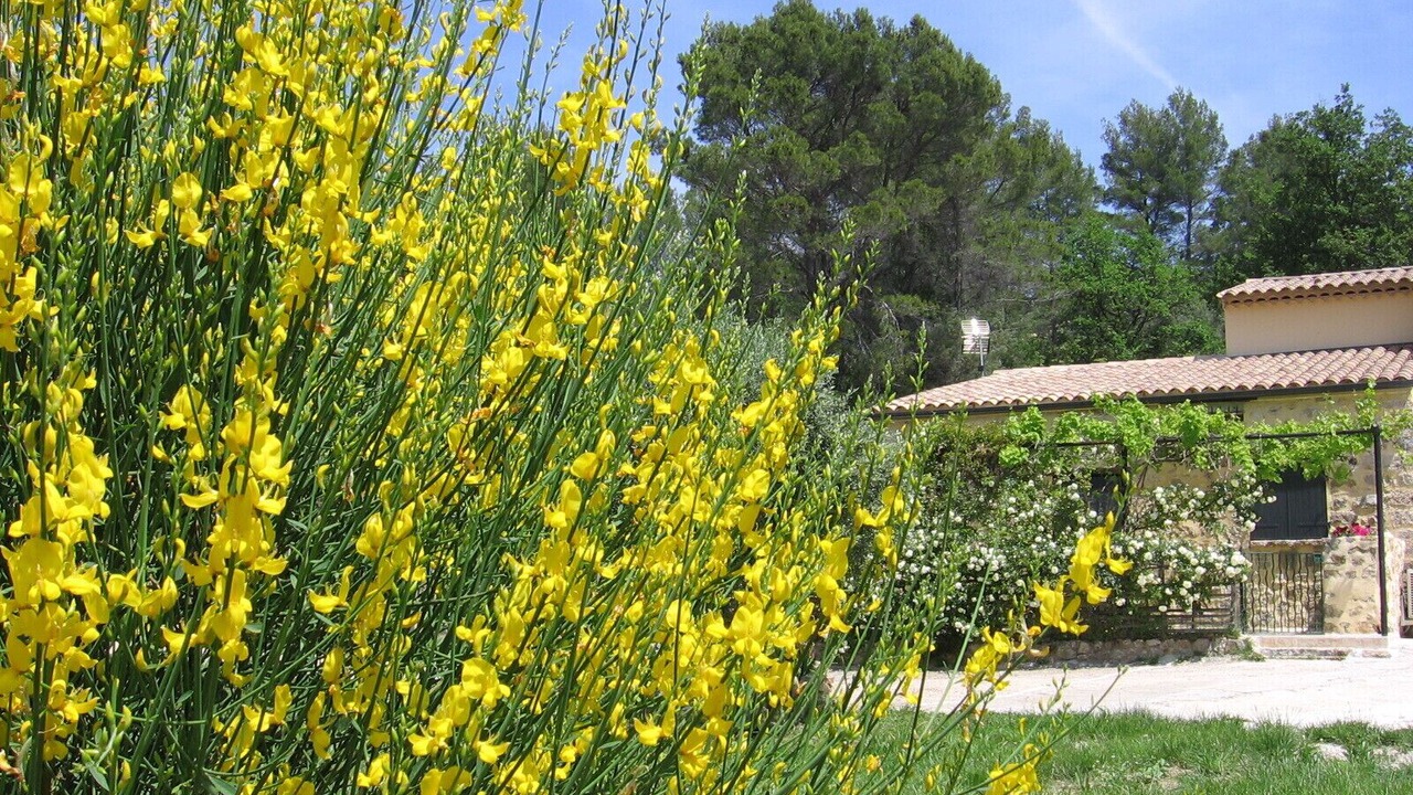 Photo of Outdoor in Fayence