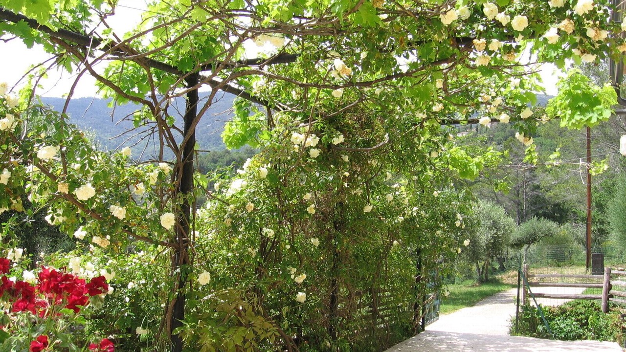 Photo of Outdoor in Fayence