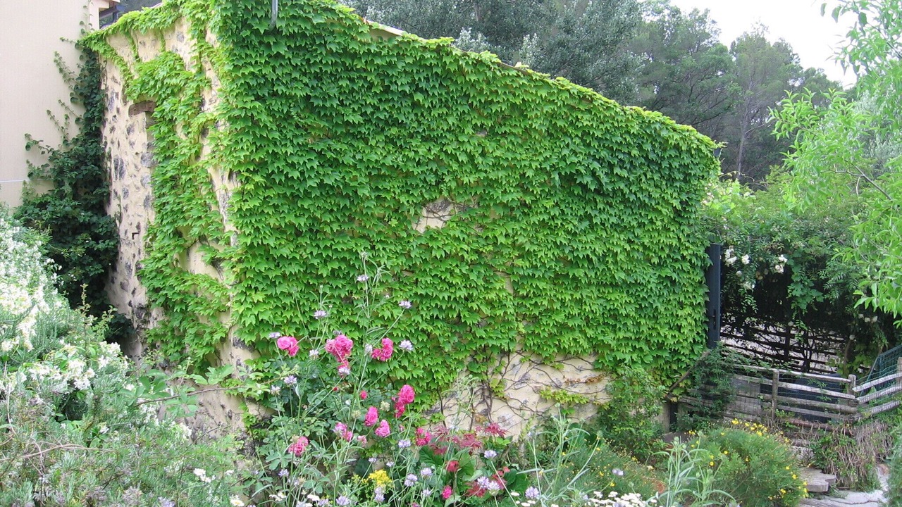 Photo of Outdoor in Fayence