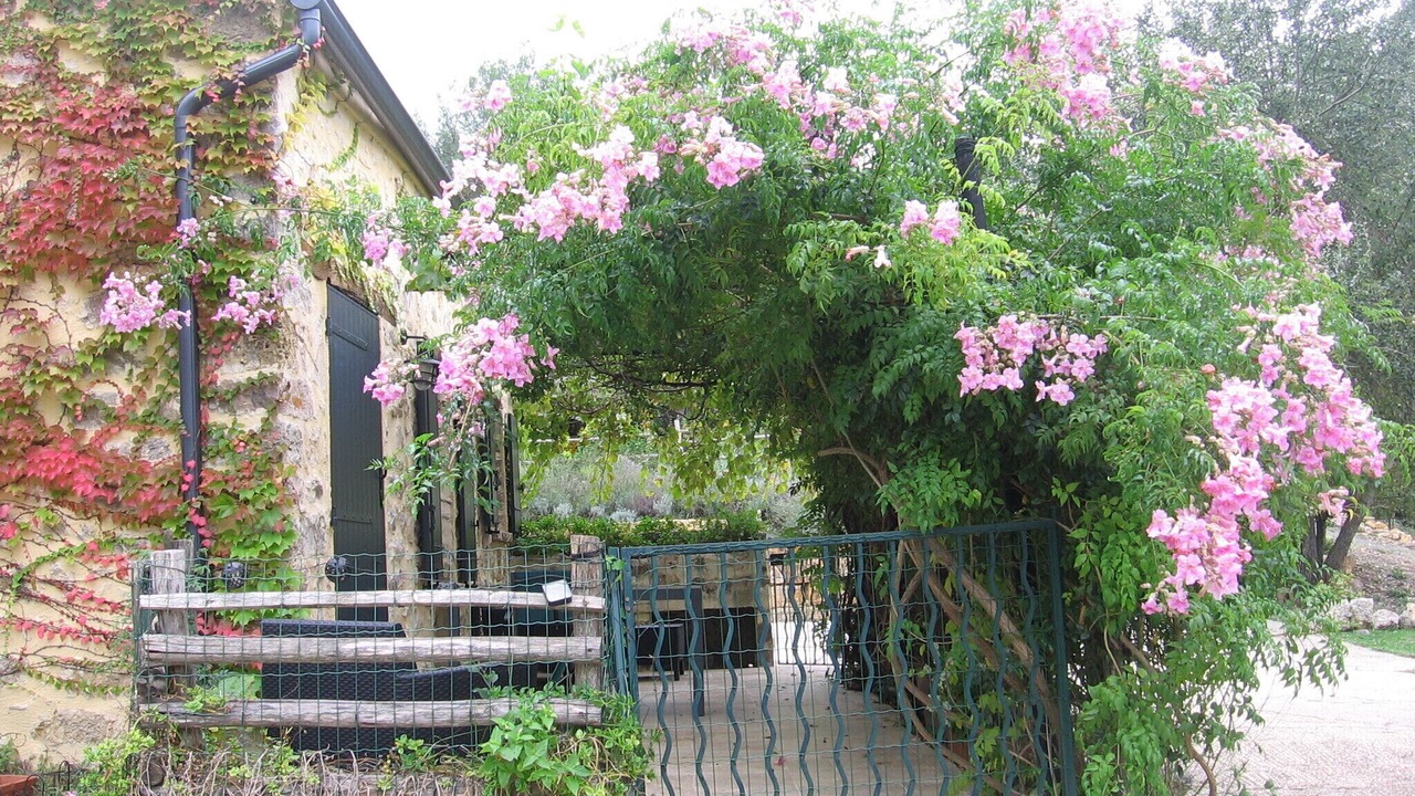 Photo of Outdoor in Fayence