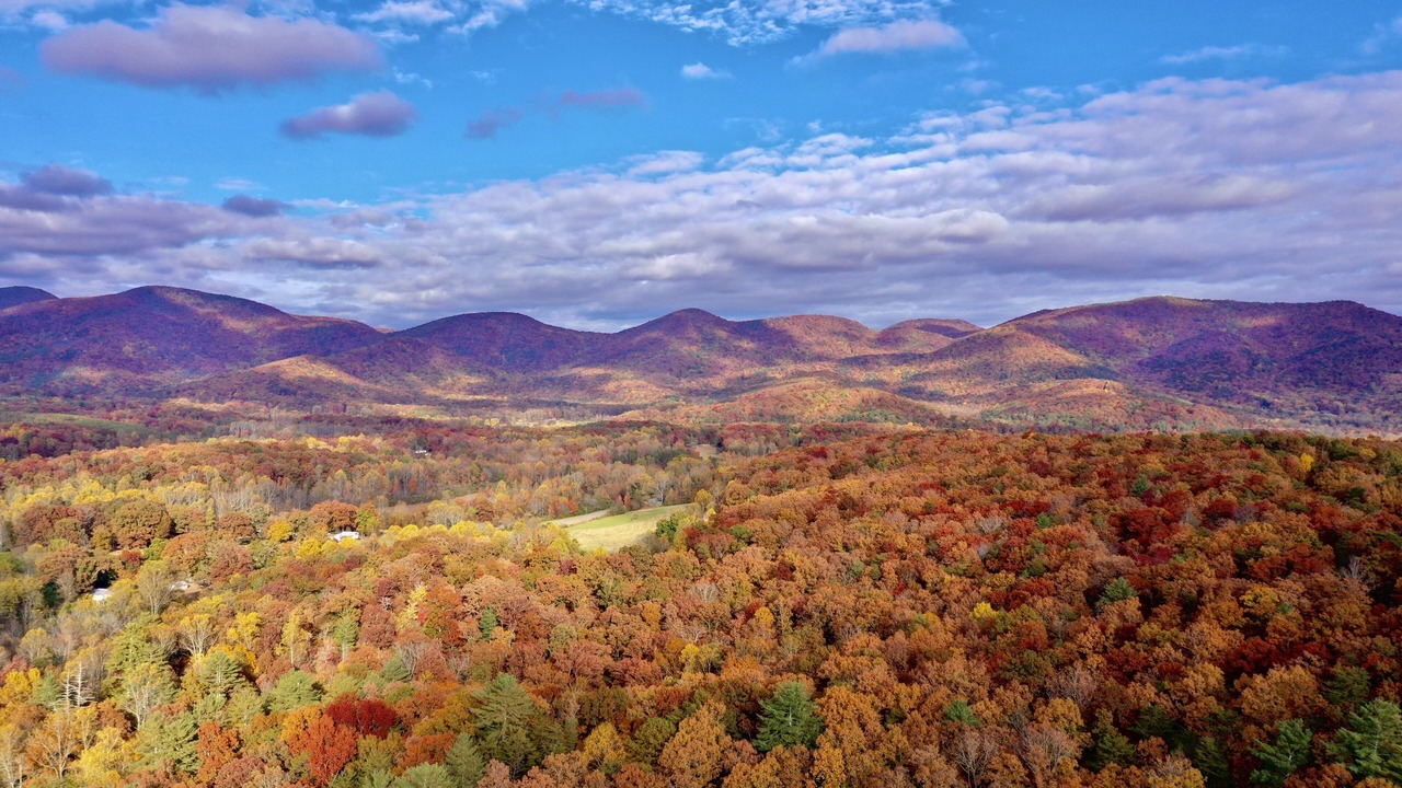 Photo of Others in Cleveland