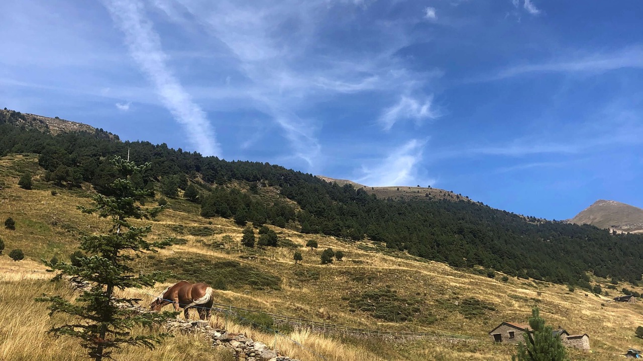 Photo of Others in Soldeu