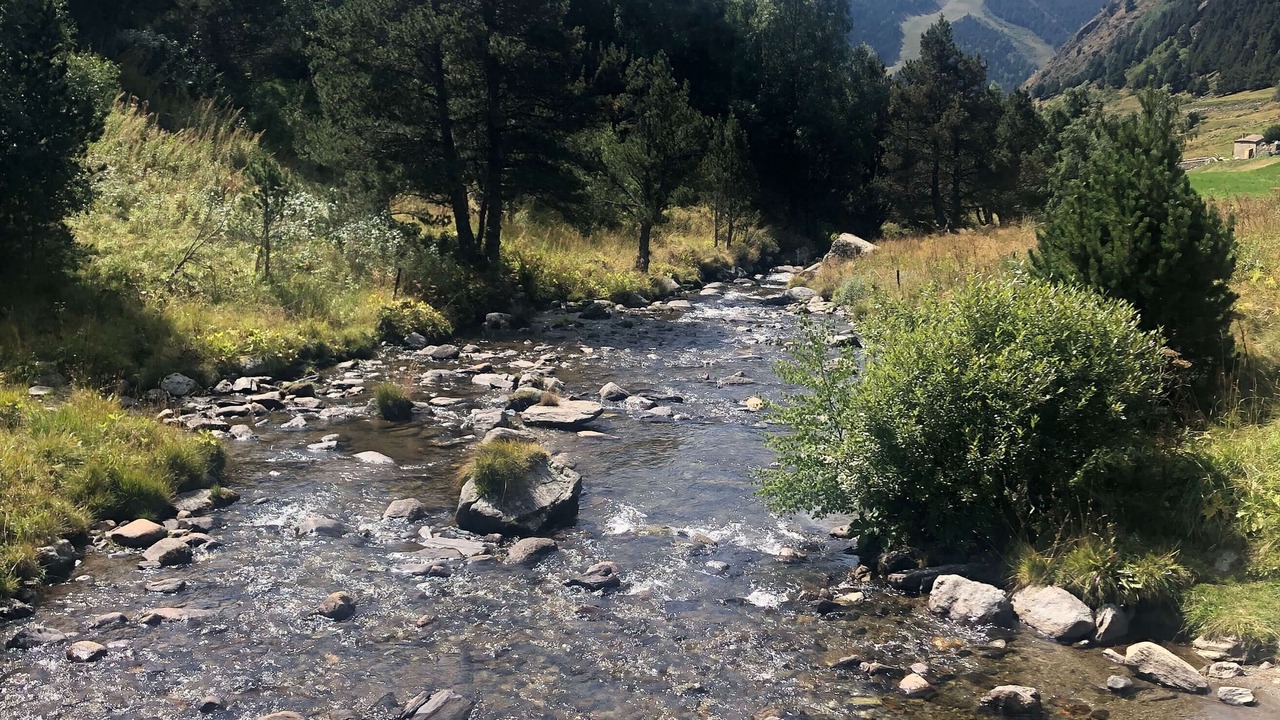 Photo of Others in Soldeu