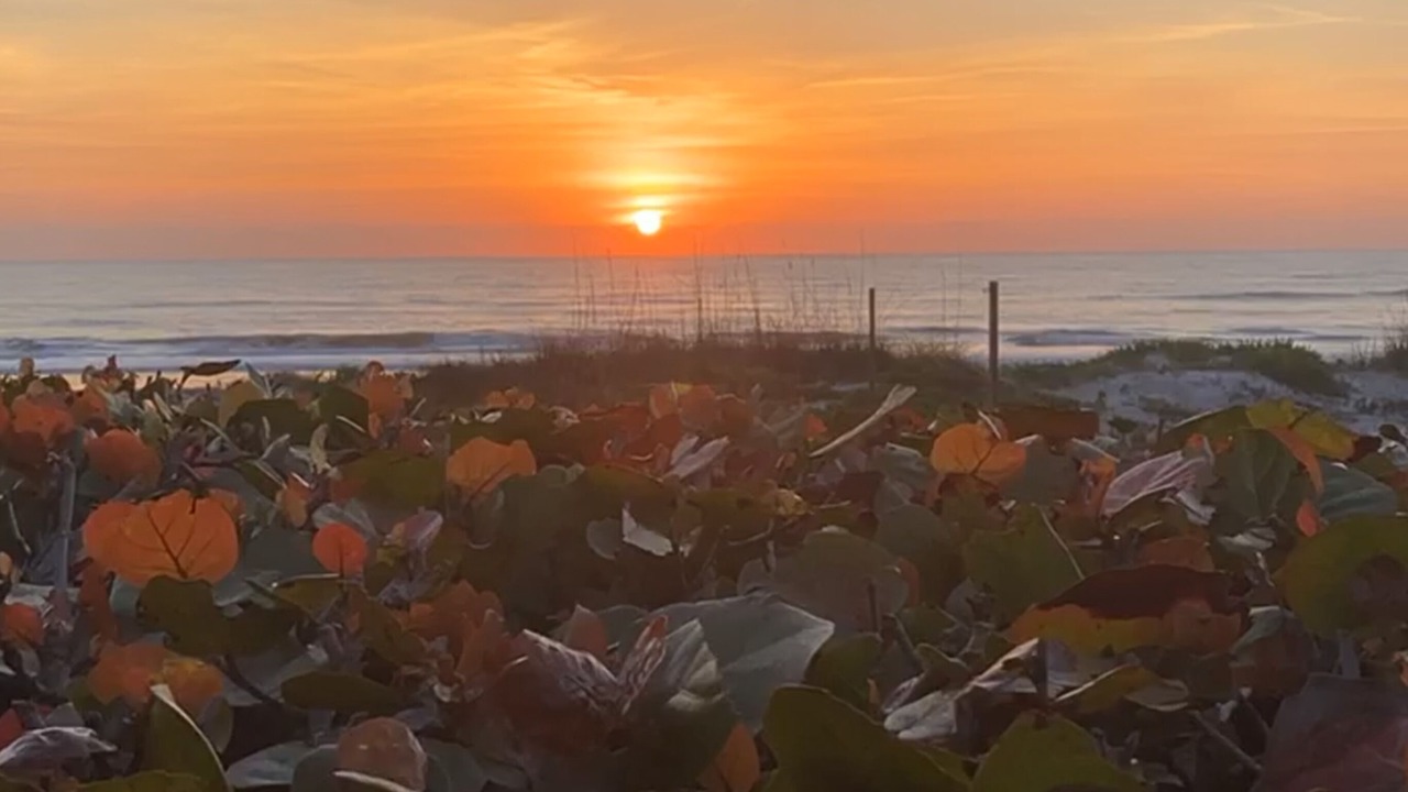 Photo of Others in Crescent Beach
