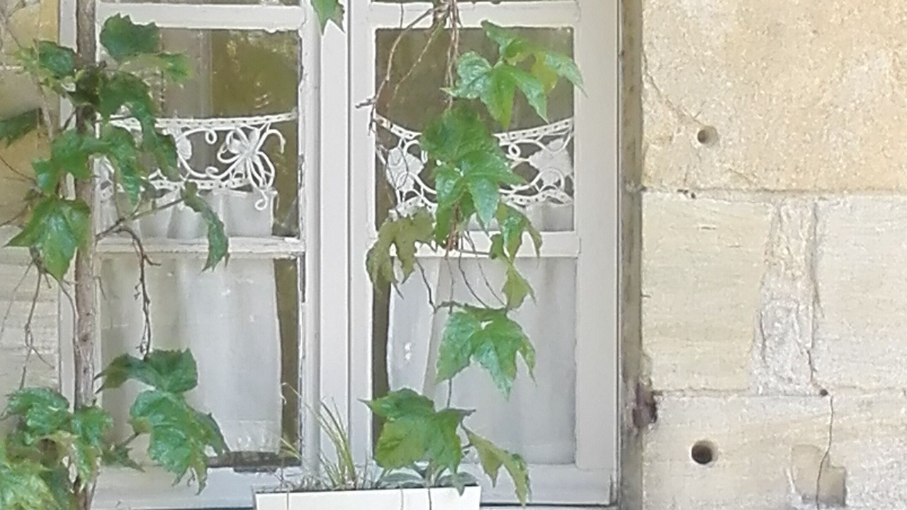 Photo of Outdoor in Reviers