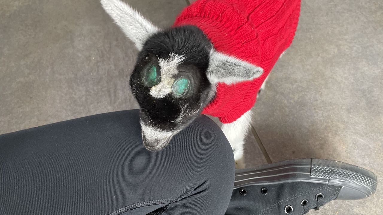 Photo of Bedroom in Newark