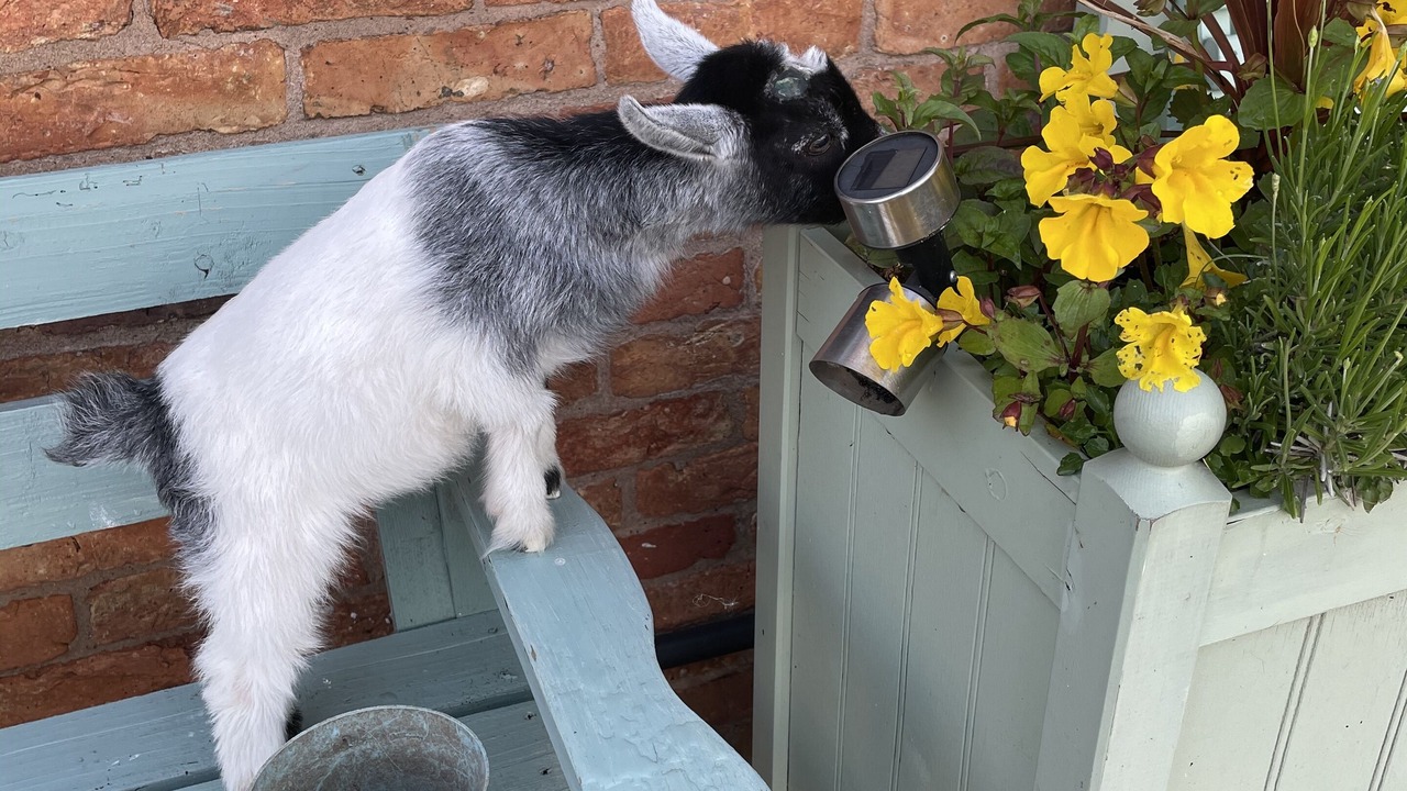 Photo of Outdoor in Newark