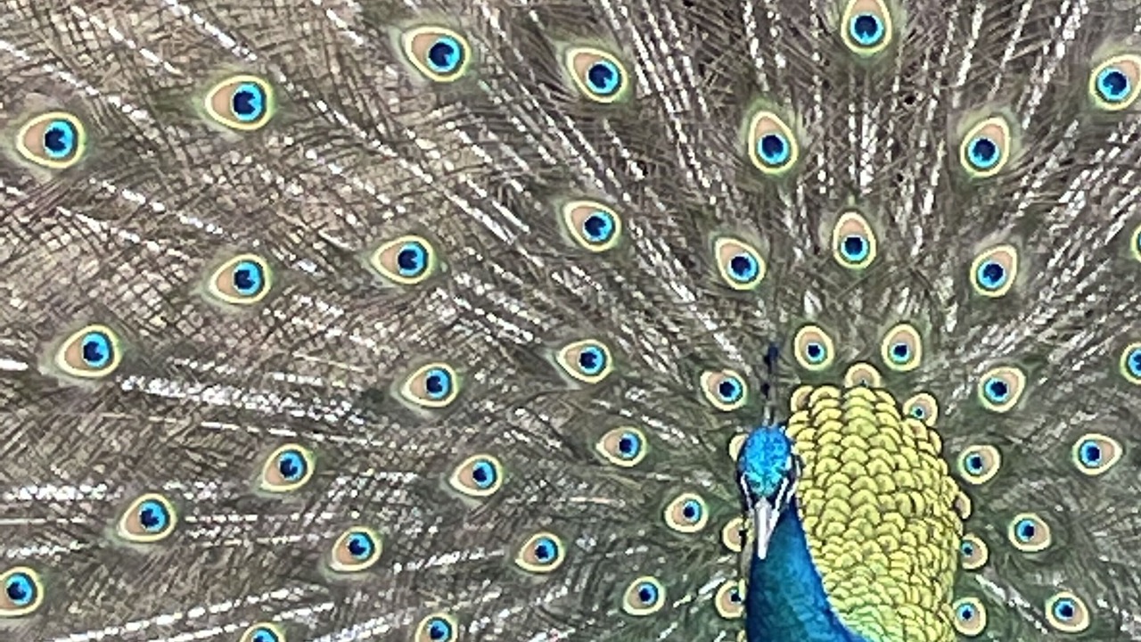 Photo of Others in Newark