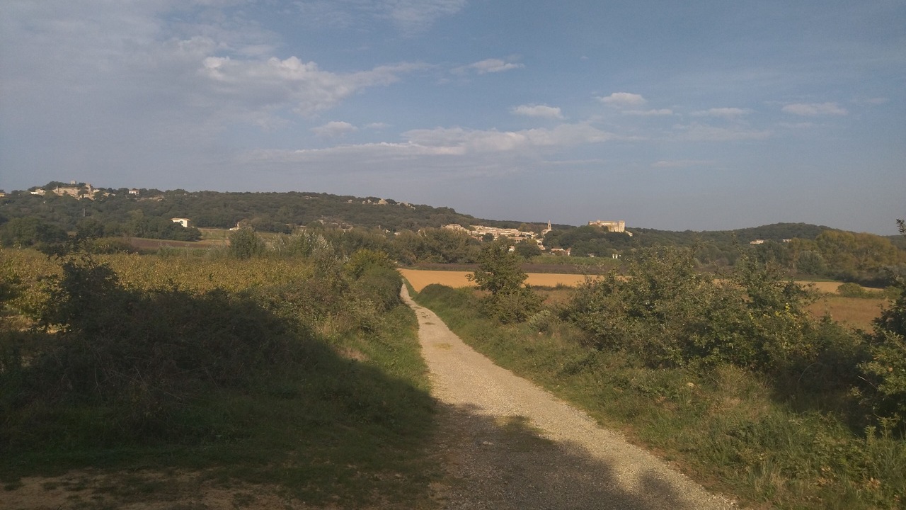 Photo of Outdoor in La Capelle-et-Masmolene