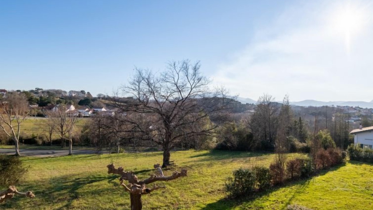 Photo of Others in Guethary