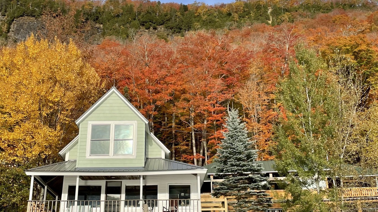 Photo of Others in Orleans