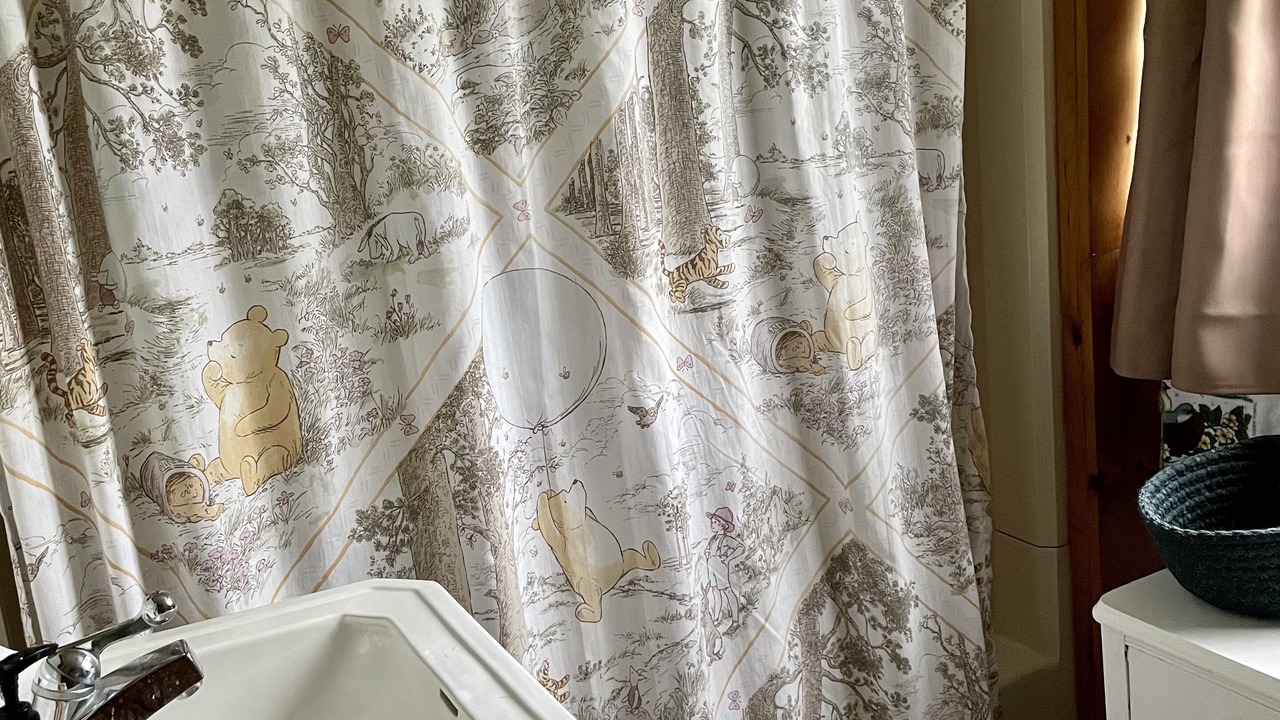 Photo of Others in Orleans