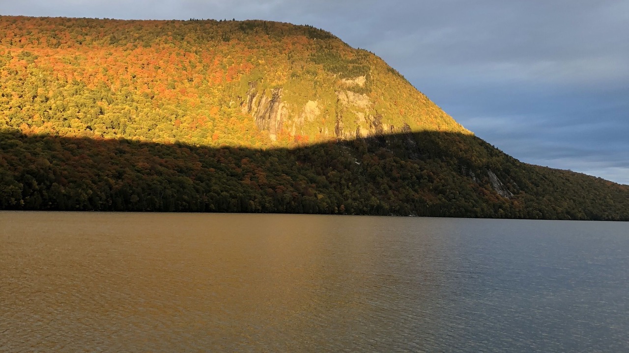 Photo of Others in Orleans