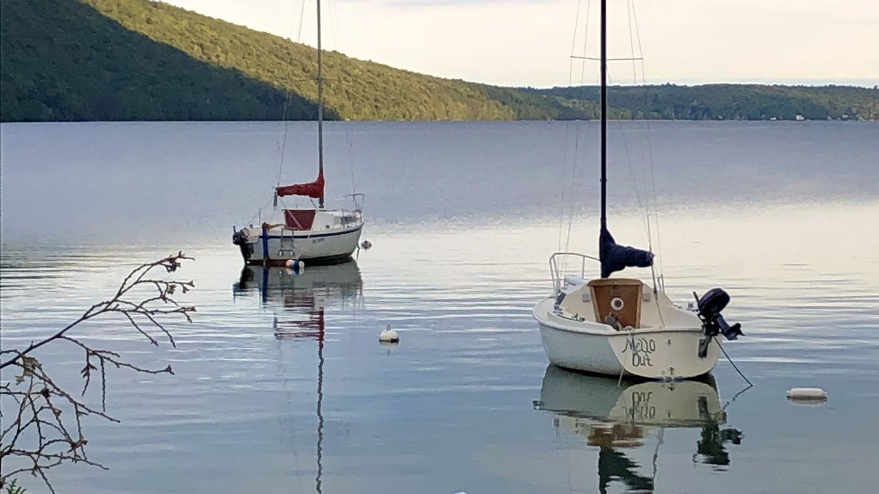 Photo of Outdoor in Orleans