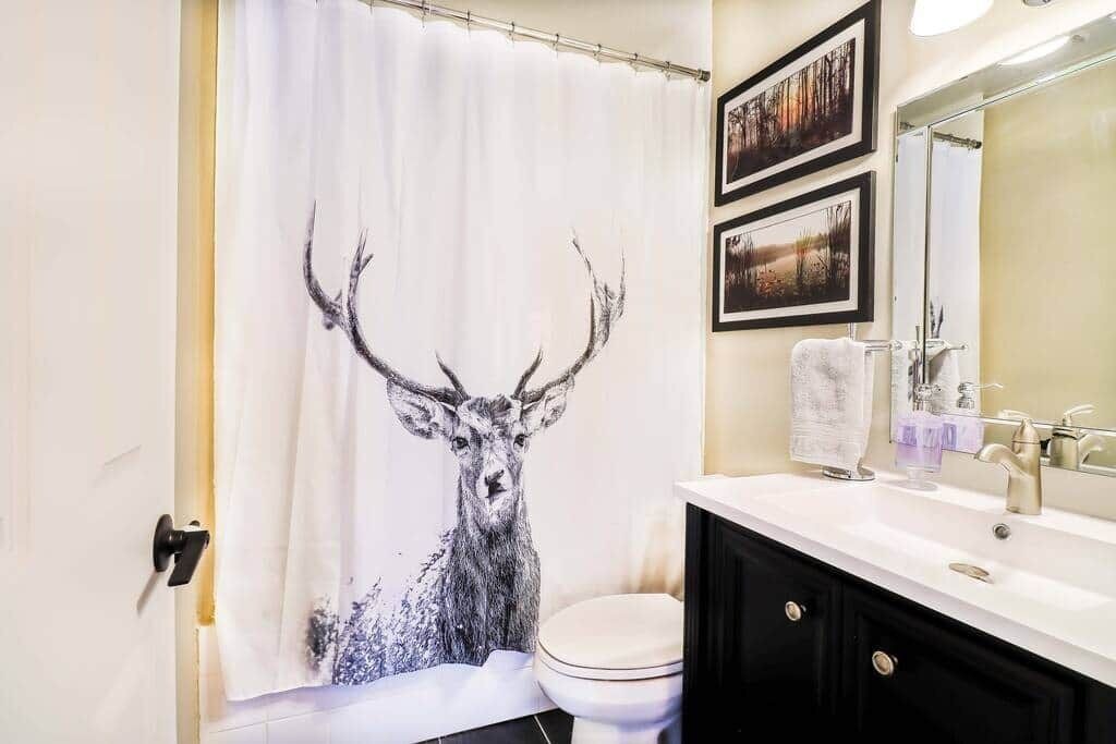 Photo of Bathroom in Calabogie