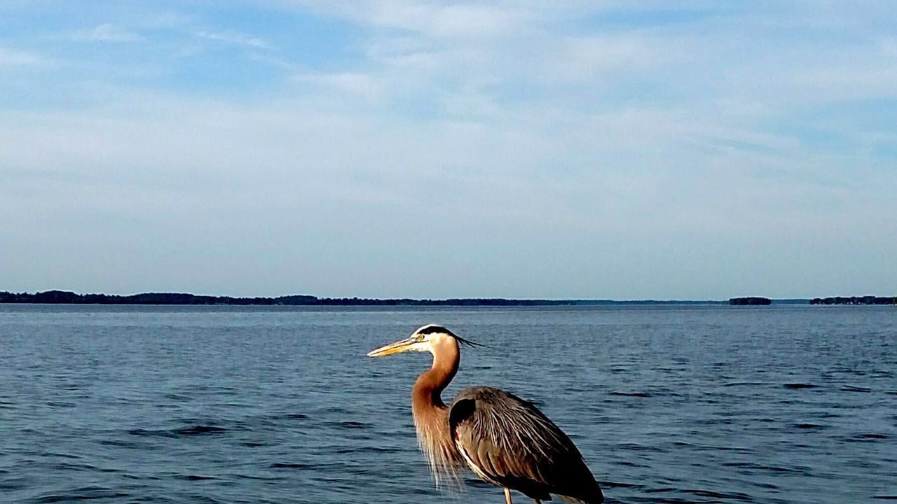 Photo of Outdoor in Cape Vincent