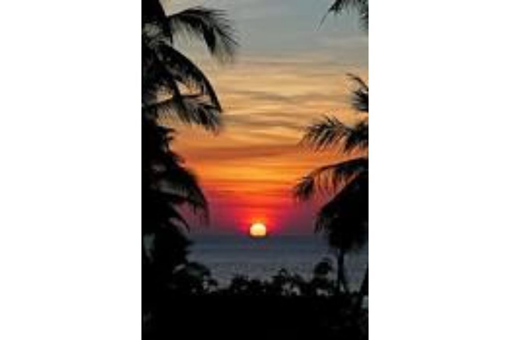 Photo of Others in Elk Grove