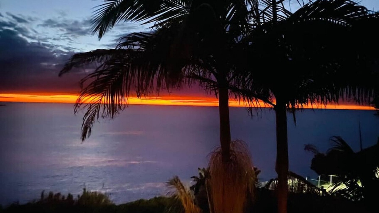 Photo of Bedroom in Dee Why