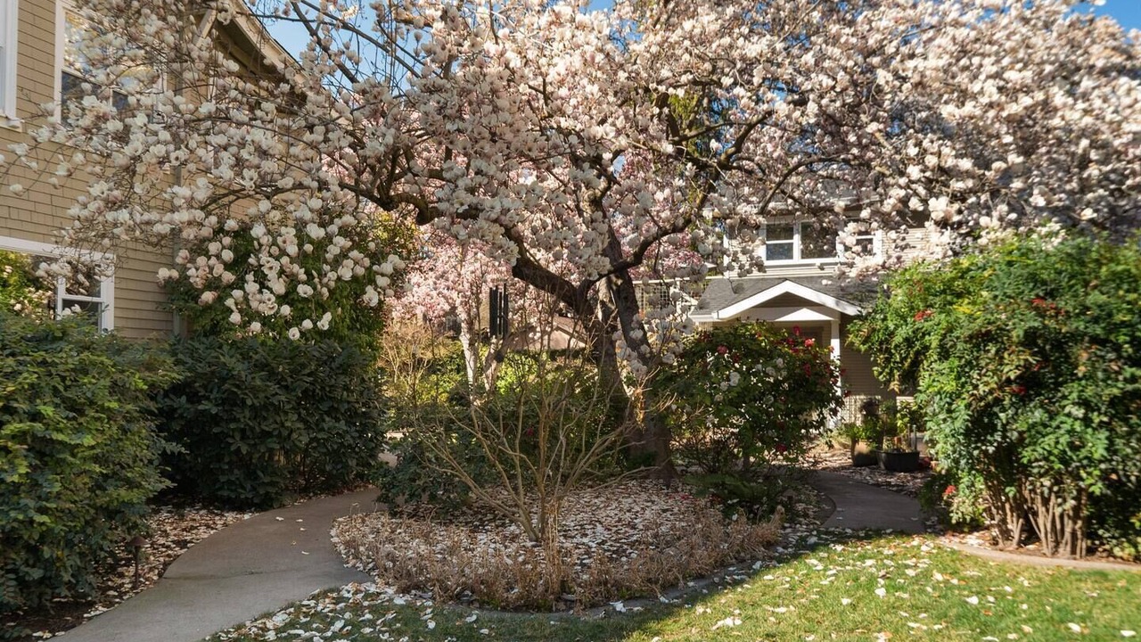 Photo of Outdoor in Chico