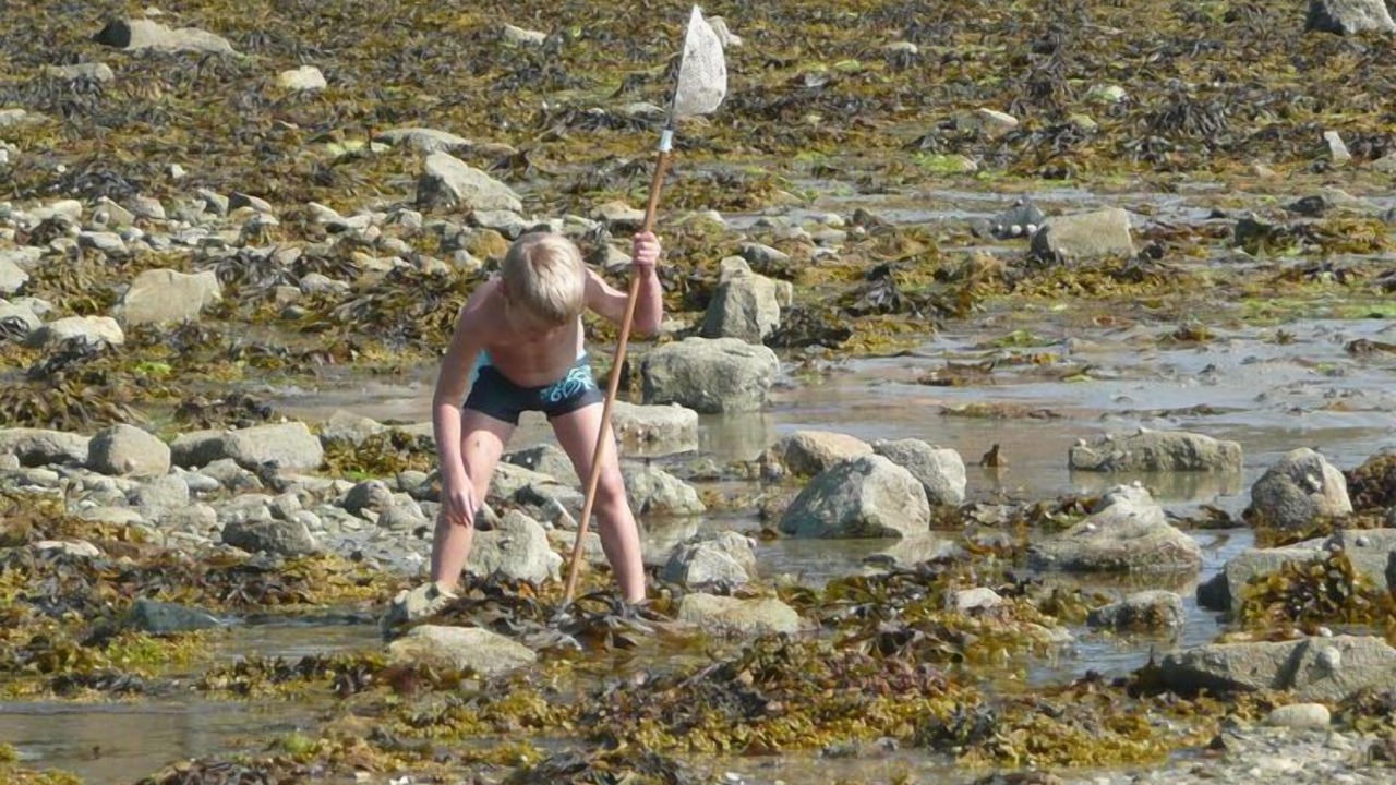 Photo of Others in Plougasnou