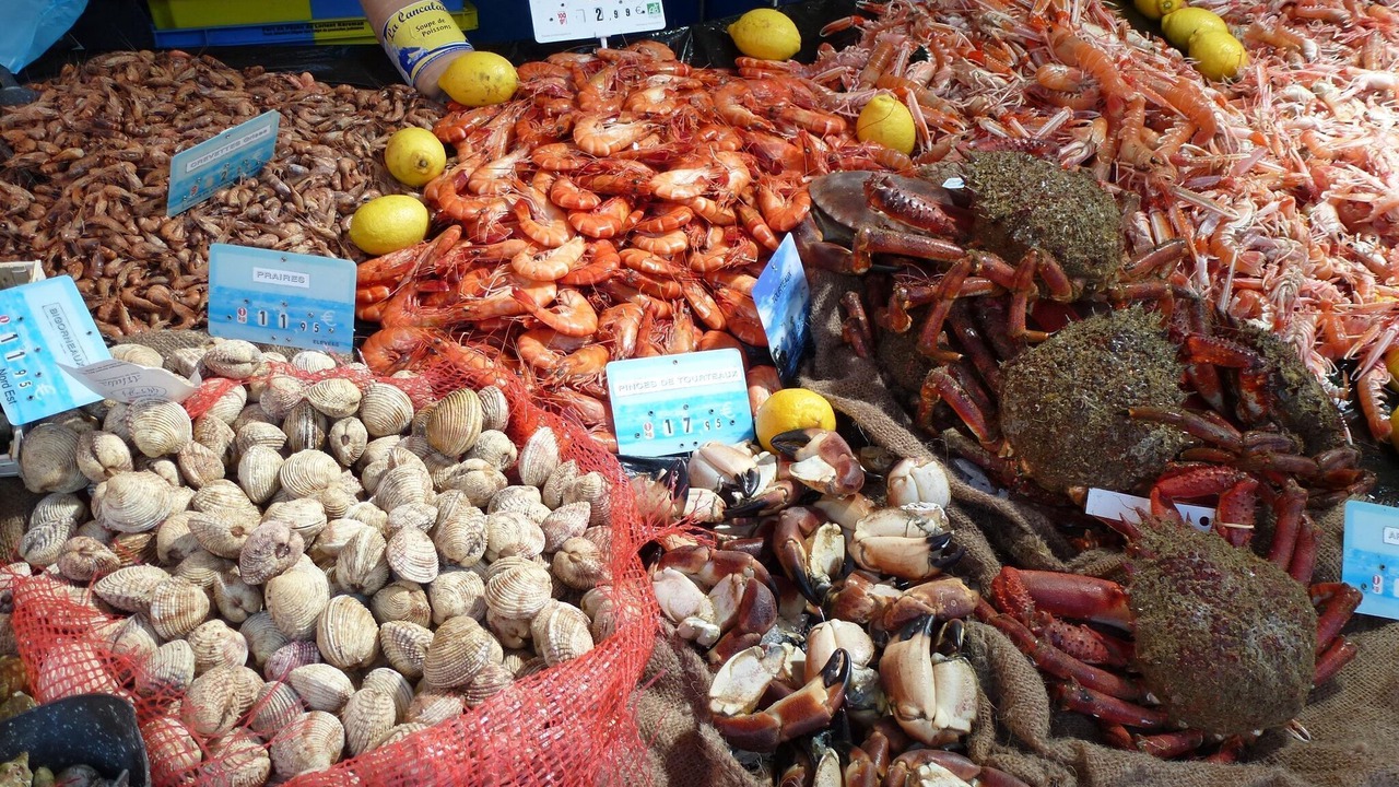 Photo of Others in Plougasnou