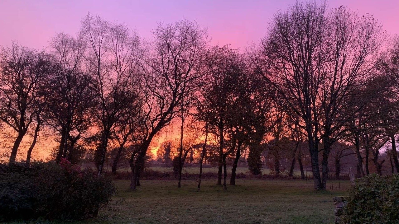 Photo of Outdoor in Guehenno