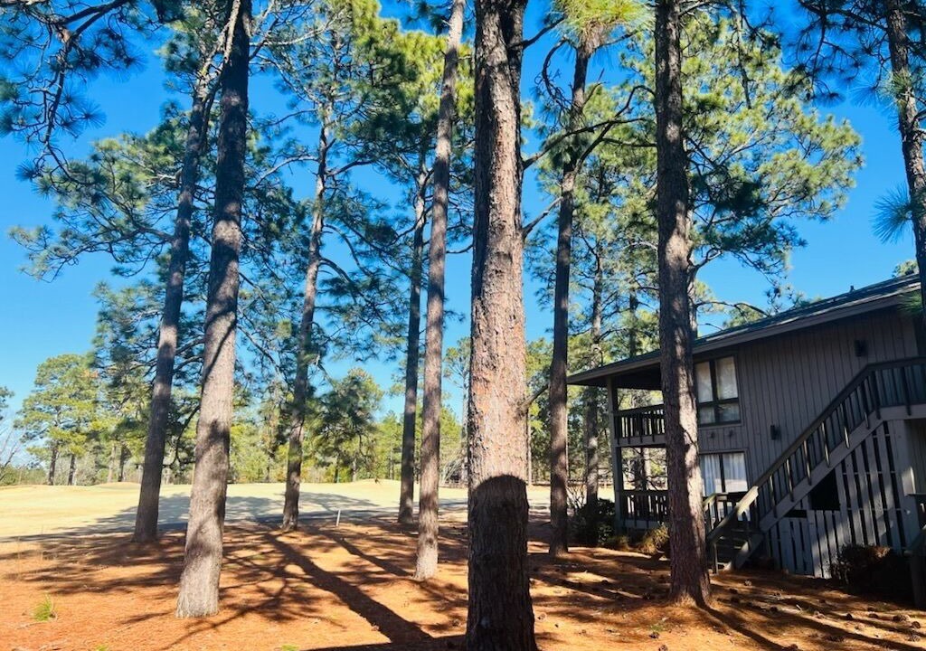 Photo of Outdoor in Foxfire