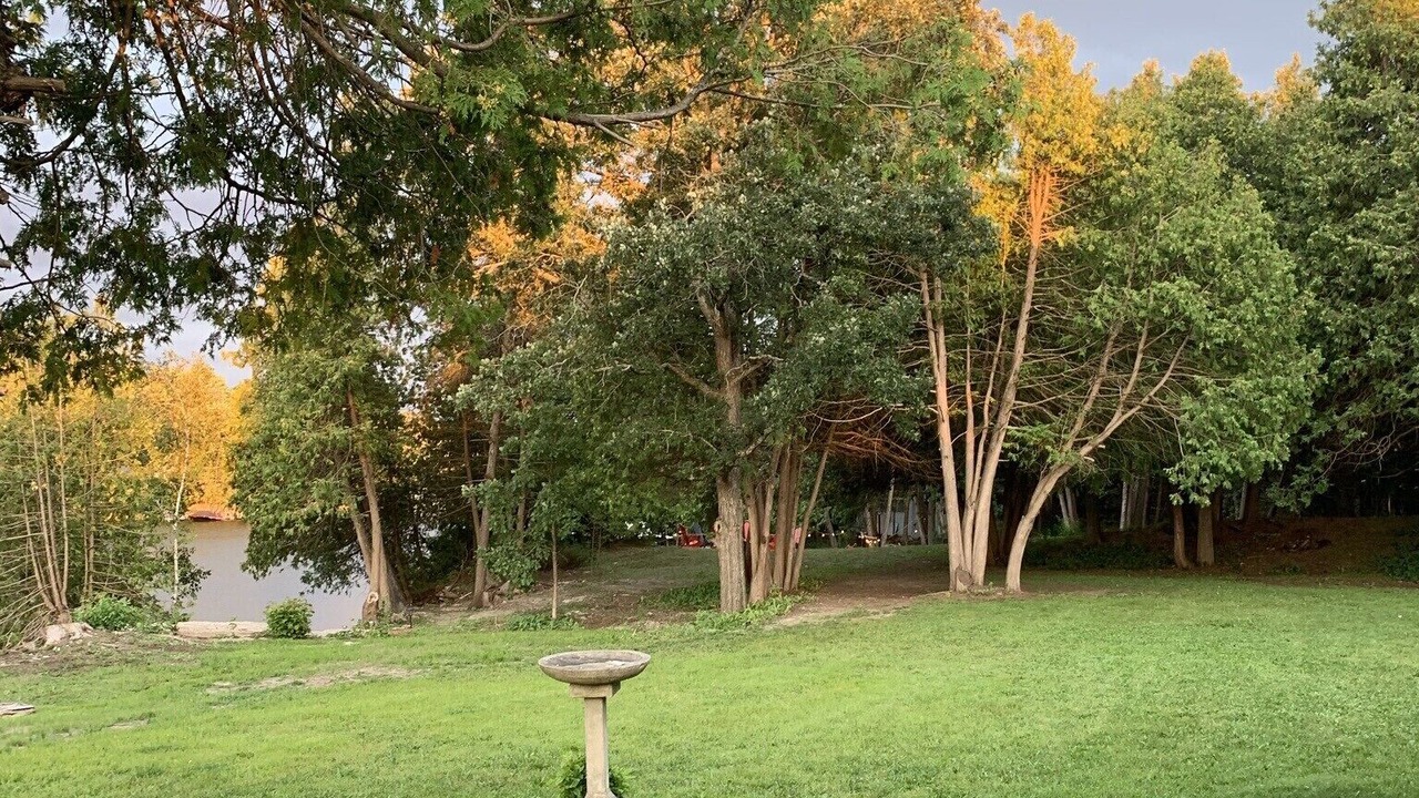 Photo of Outdoor in Fenelon Falls