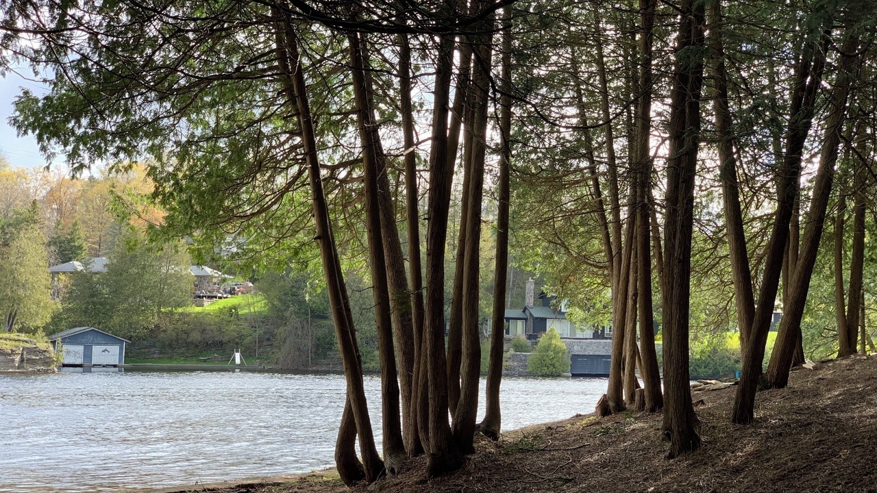 Photo of Outdoor in Fenelon Falls