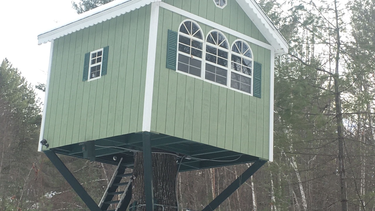 Photo of Outdoor in Lovell