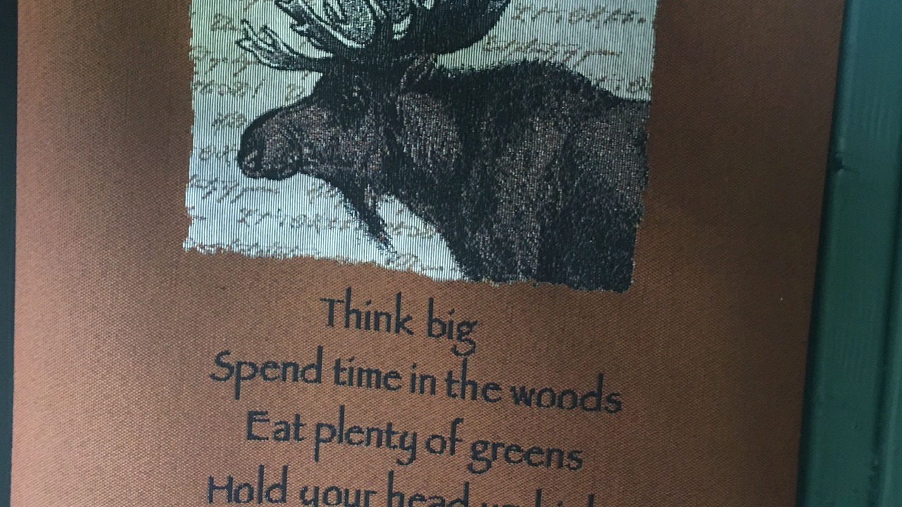 Photo of Others in Lovell