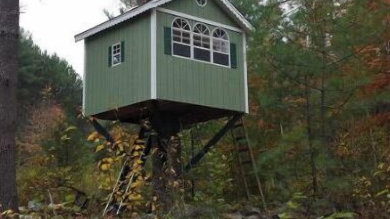 Photo of Outdoor in Lovell