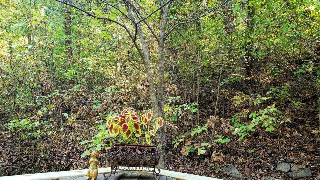 Photo of Outdoor in Catoosa