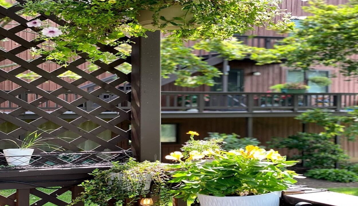 Photo of Outdoor in Vernon