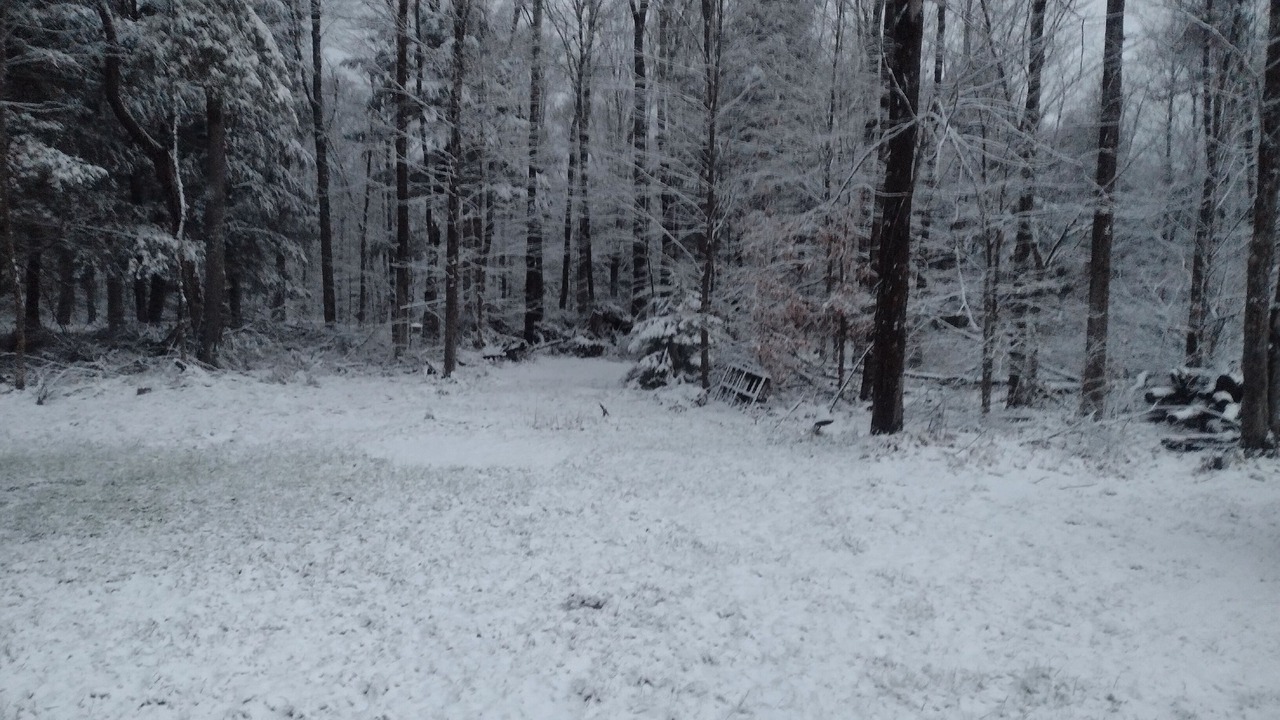 Photo of Others in Forestport