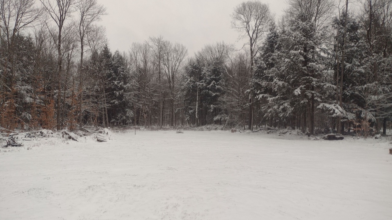 Photo of Others in Forestport