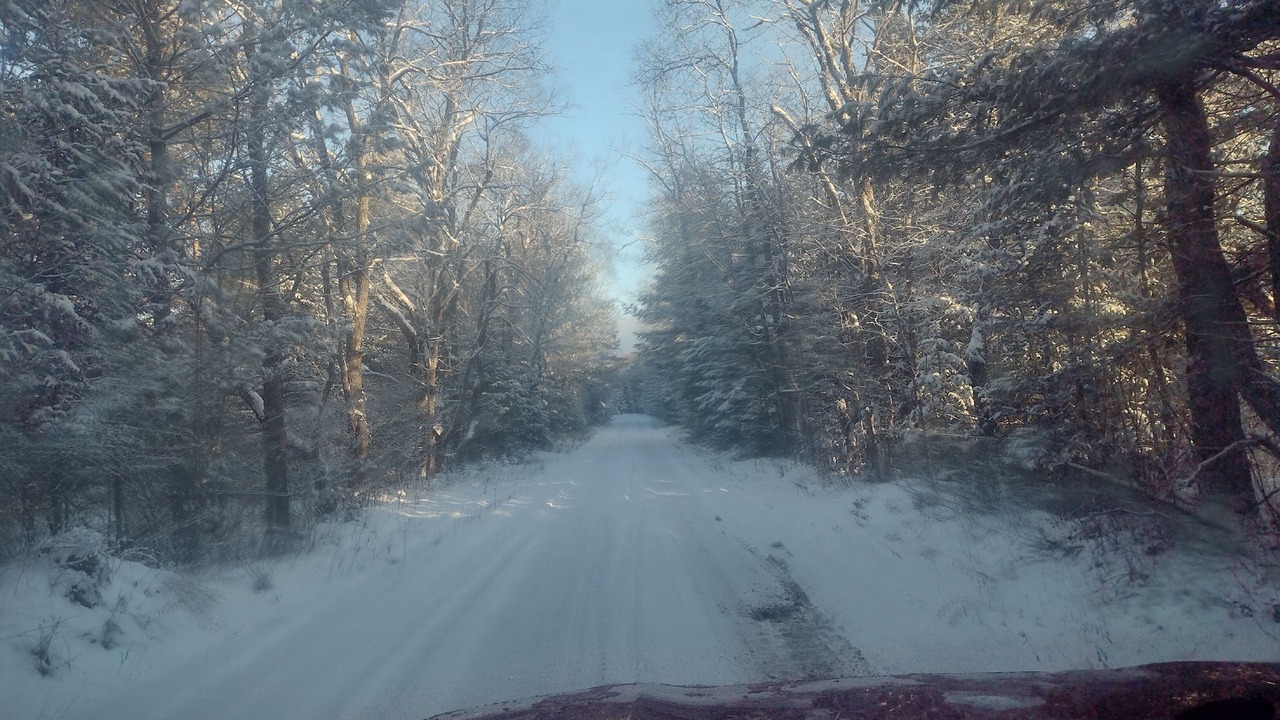 Photo of Others in Forestport