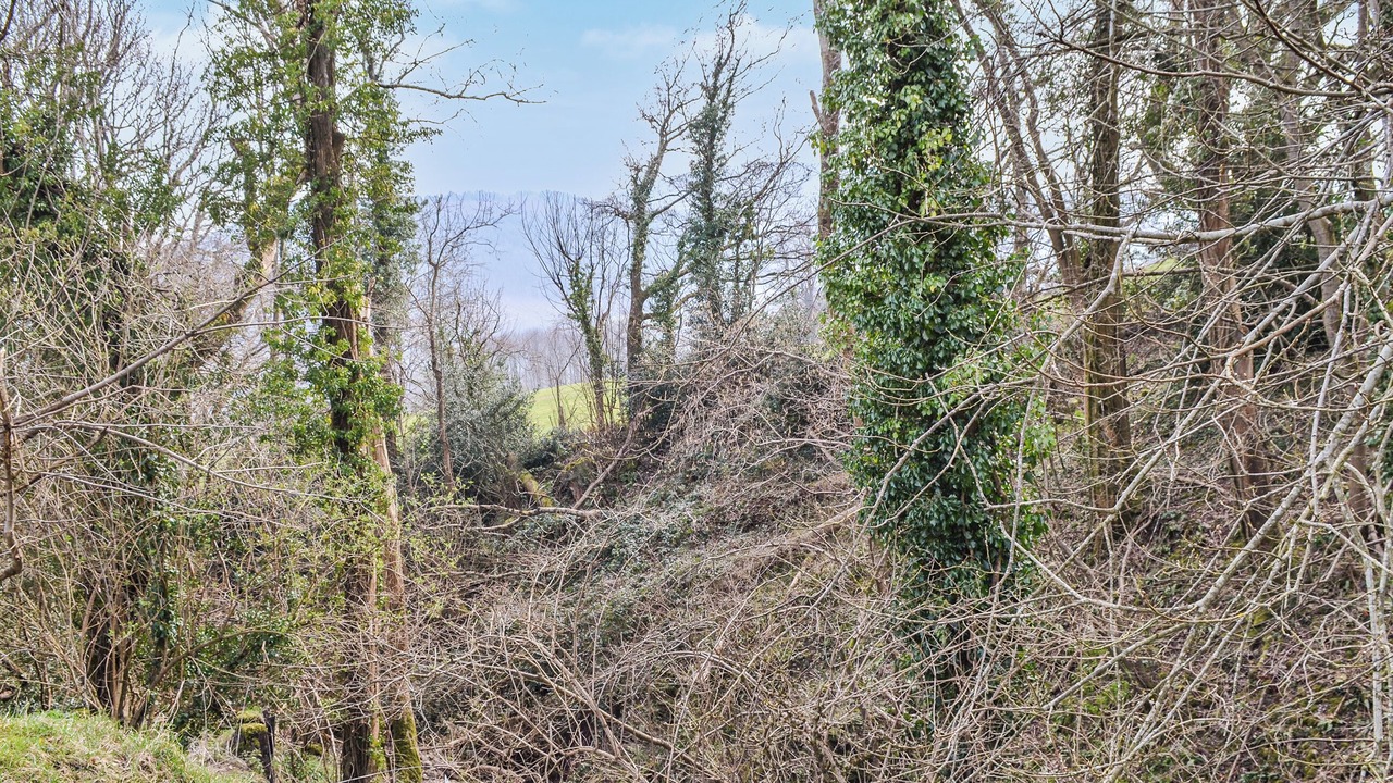 Photo of Outdoor in Talybont-on-Usk