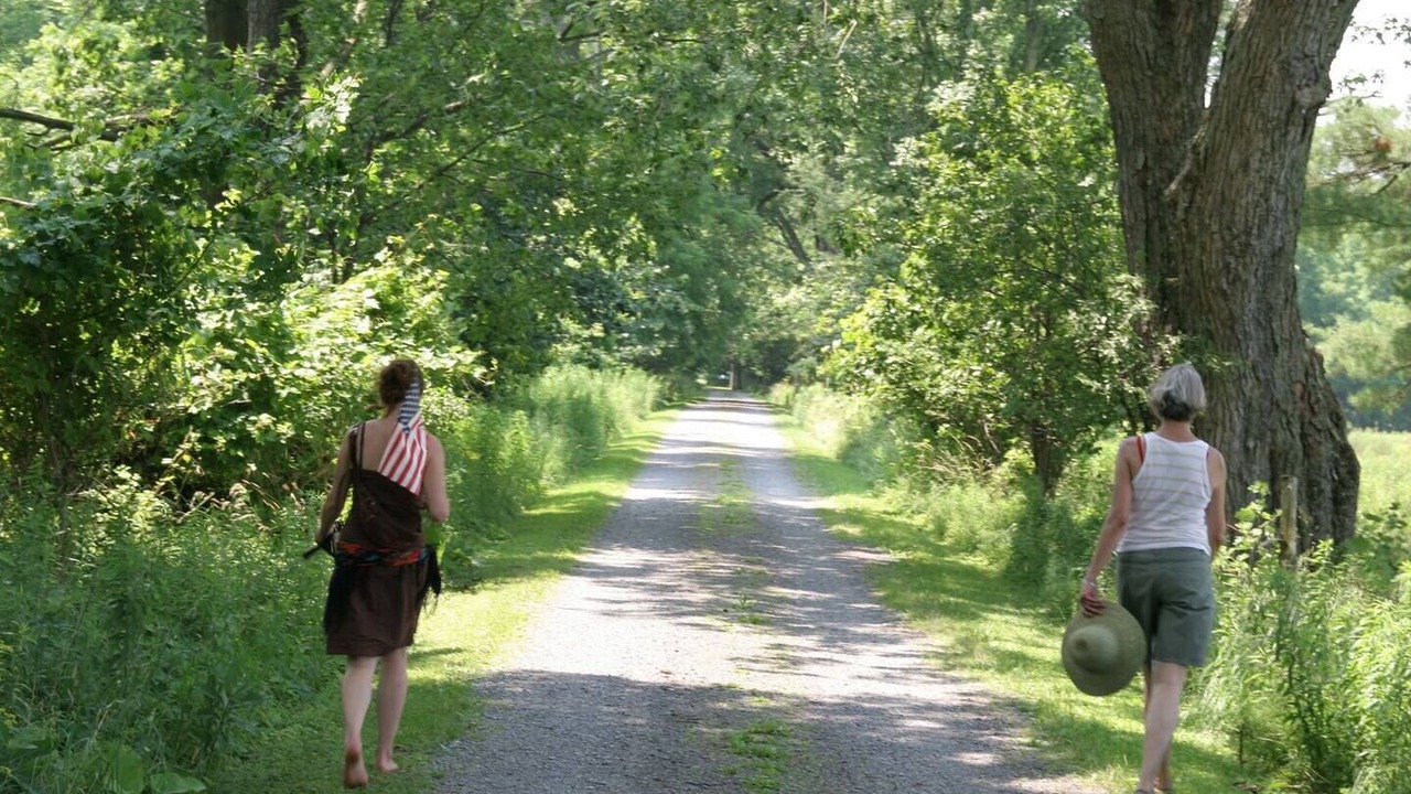 Photo of Others in Sprout Brook