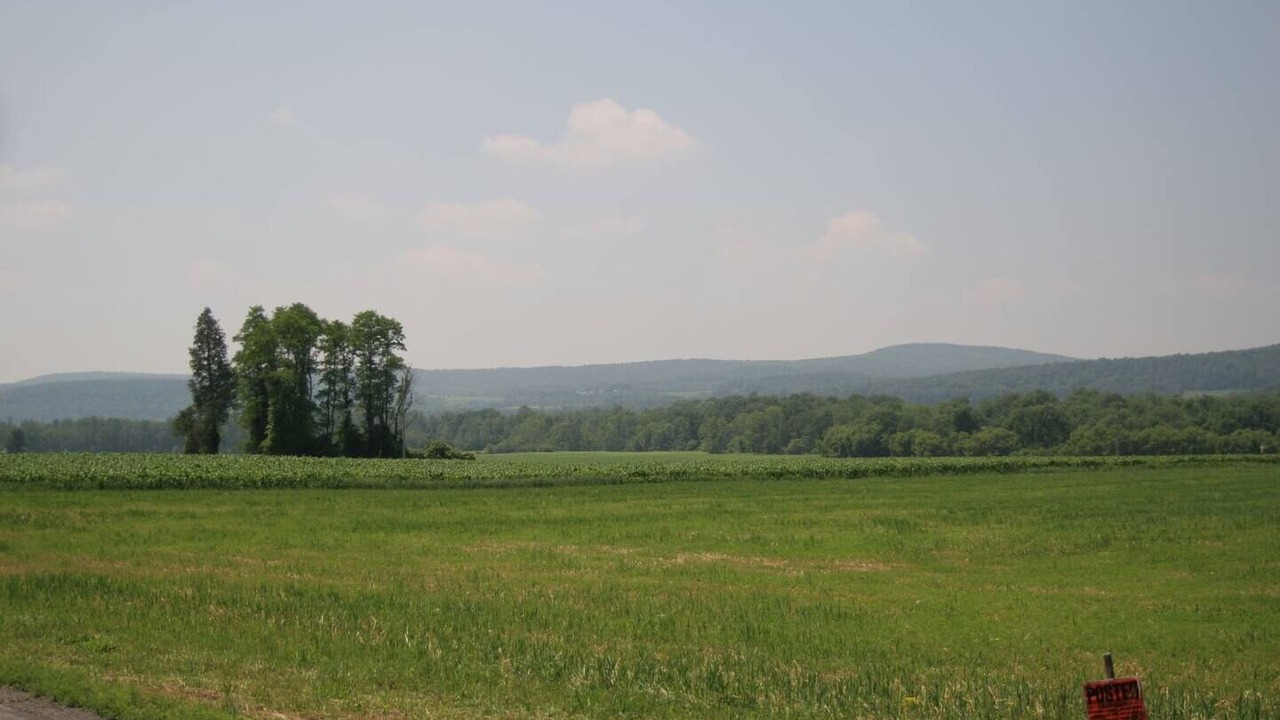 Photo of Others in Sprout Brook